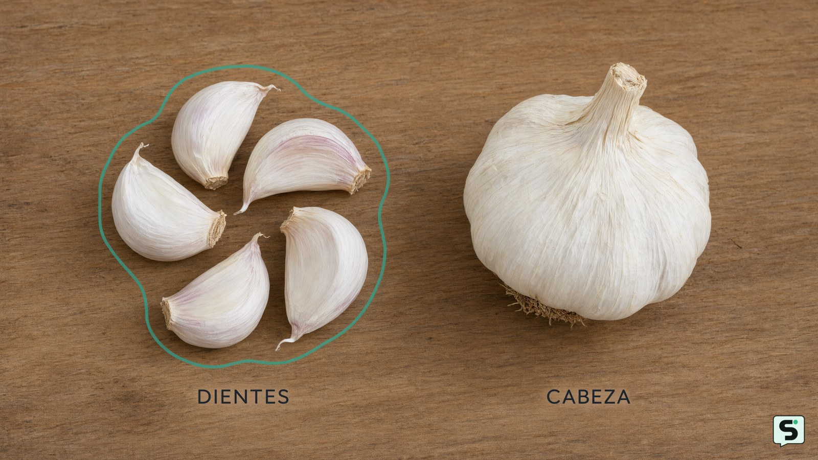 Cómo cultivar ajo: guía de siembra y cosecha