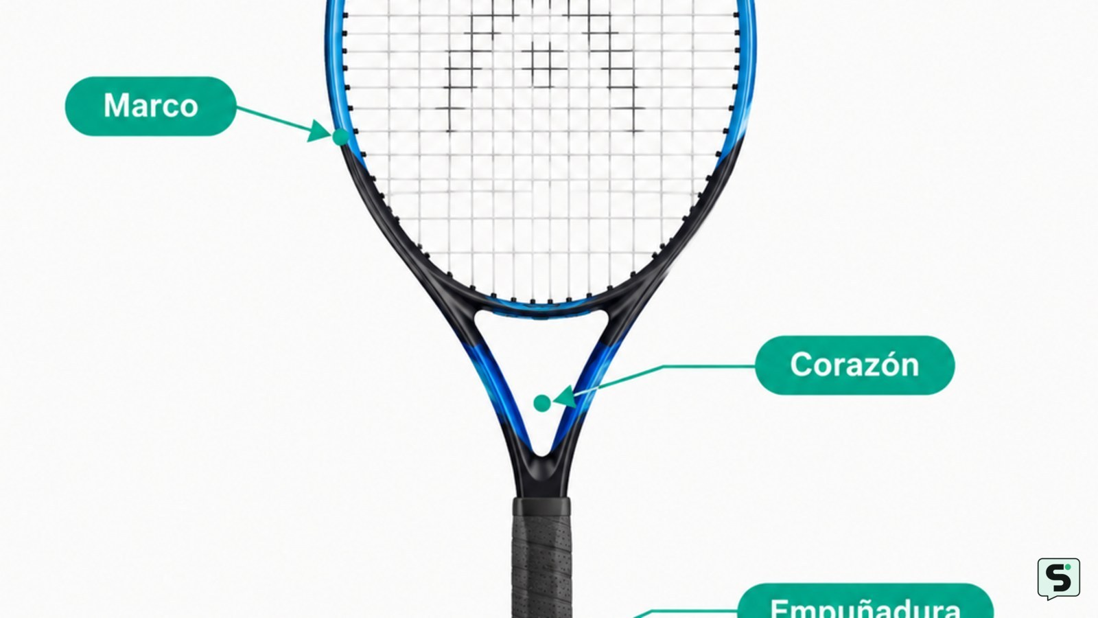 Cómo elegir una raqueta de tenis: guía de compra