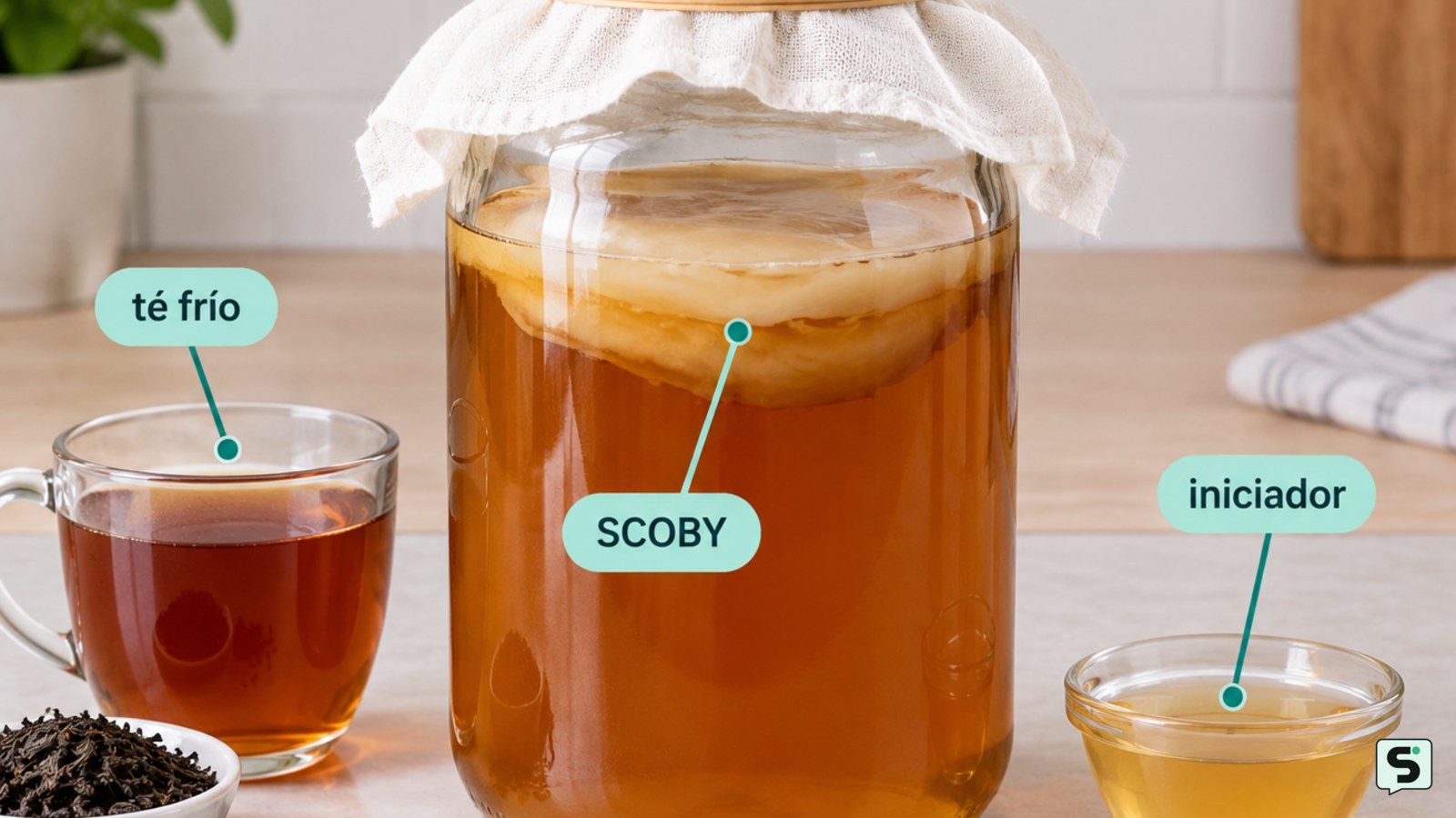 Cómo preparar kombucha: fermentación segura en casa