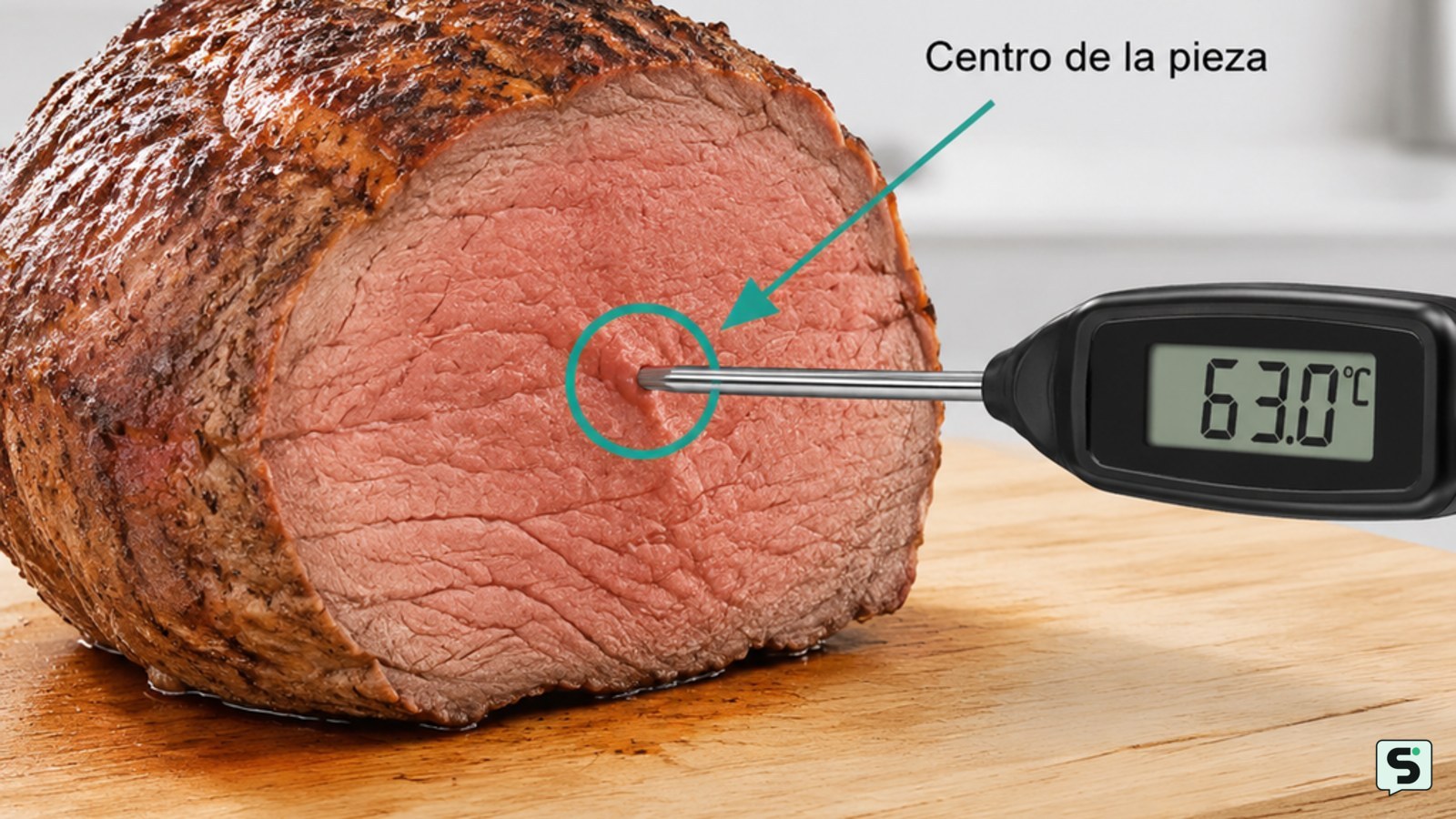 Cómo utilizar un termómetro para carne: seguridad