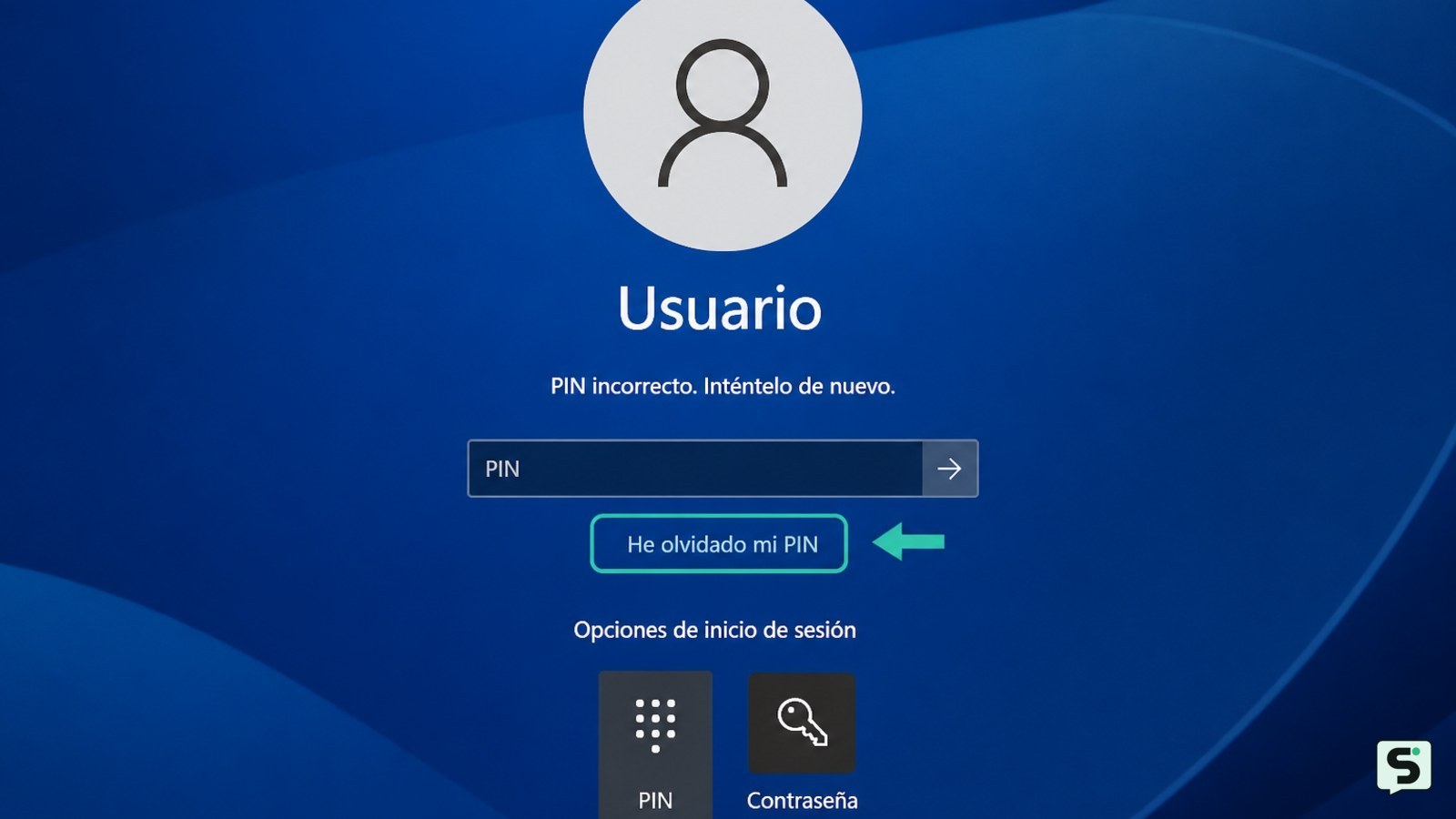 Opciones de inicio de sesión de Windows con el enlace para olvidar y restablecer el PIN